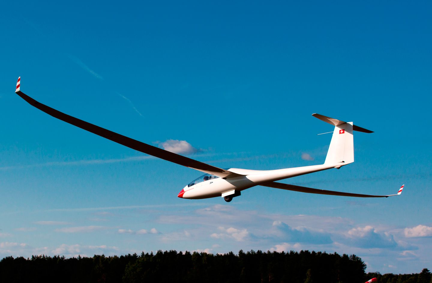 DK Find Out! Fun Facts for Kids on Animals, Earth, History and more!