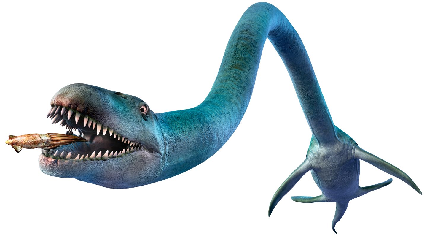 Nevada Ichthyosaur Coloring Page Nevada Ichthyosaur Coloring Page