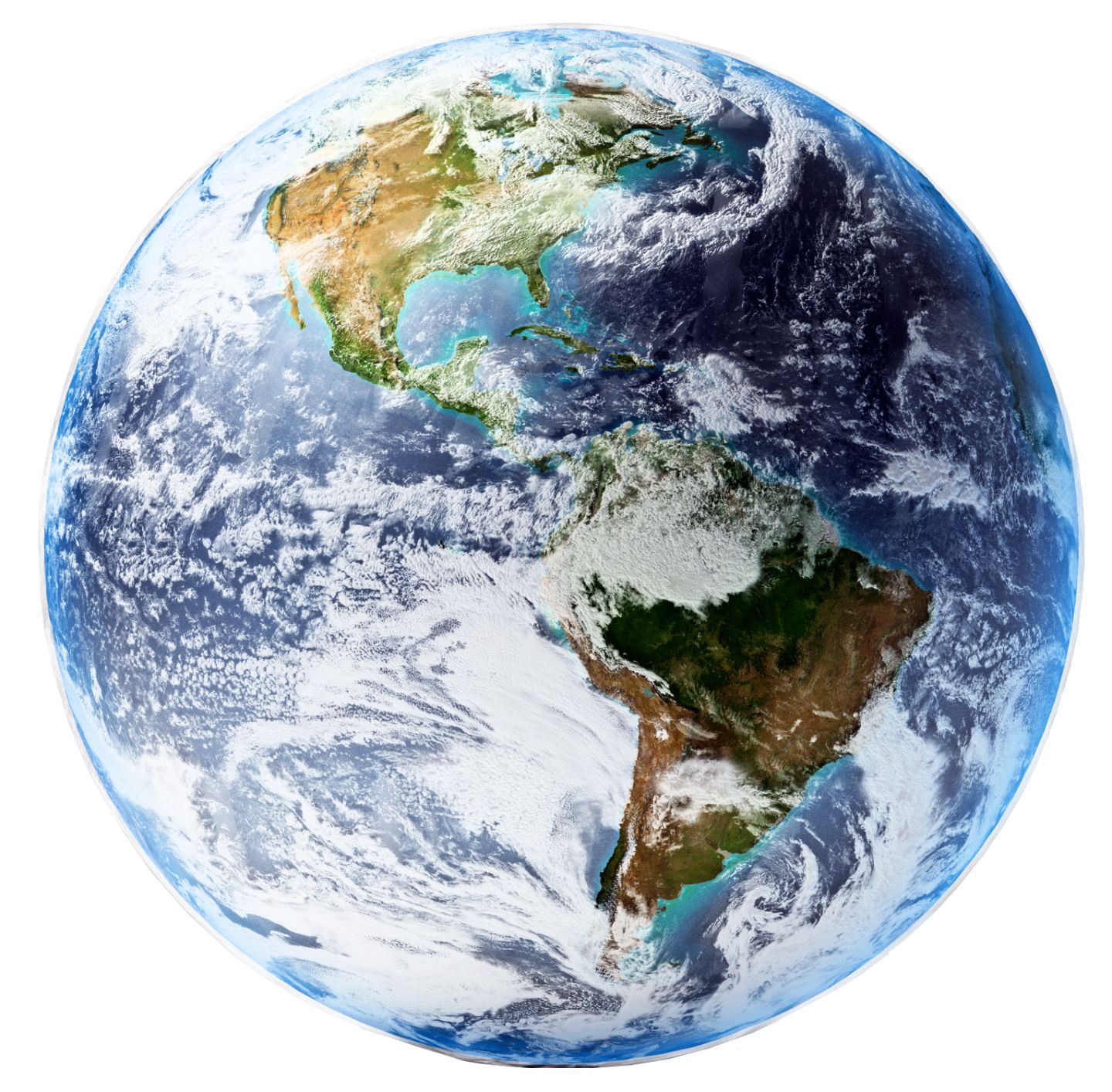 DK Find Out Fun Facts for Kids on Animals Earth History and more DK Find Out Fun Facts for Kids on Animals Earth History and more