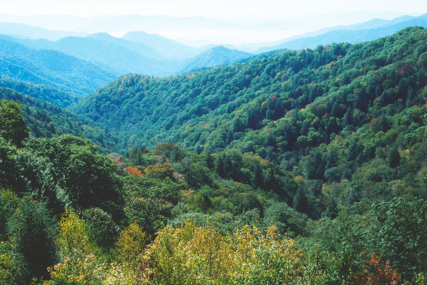 North Carolina Mountain Region Facts For Kids North Carolina Mountain Region Facts For Kids