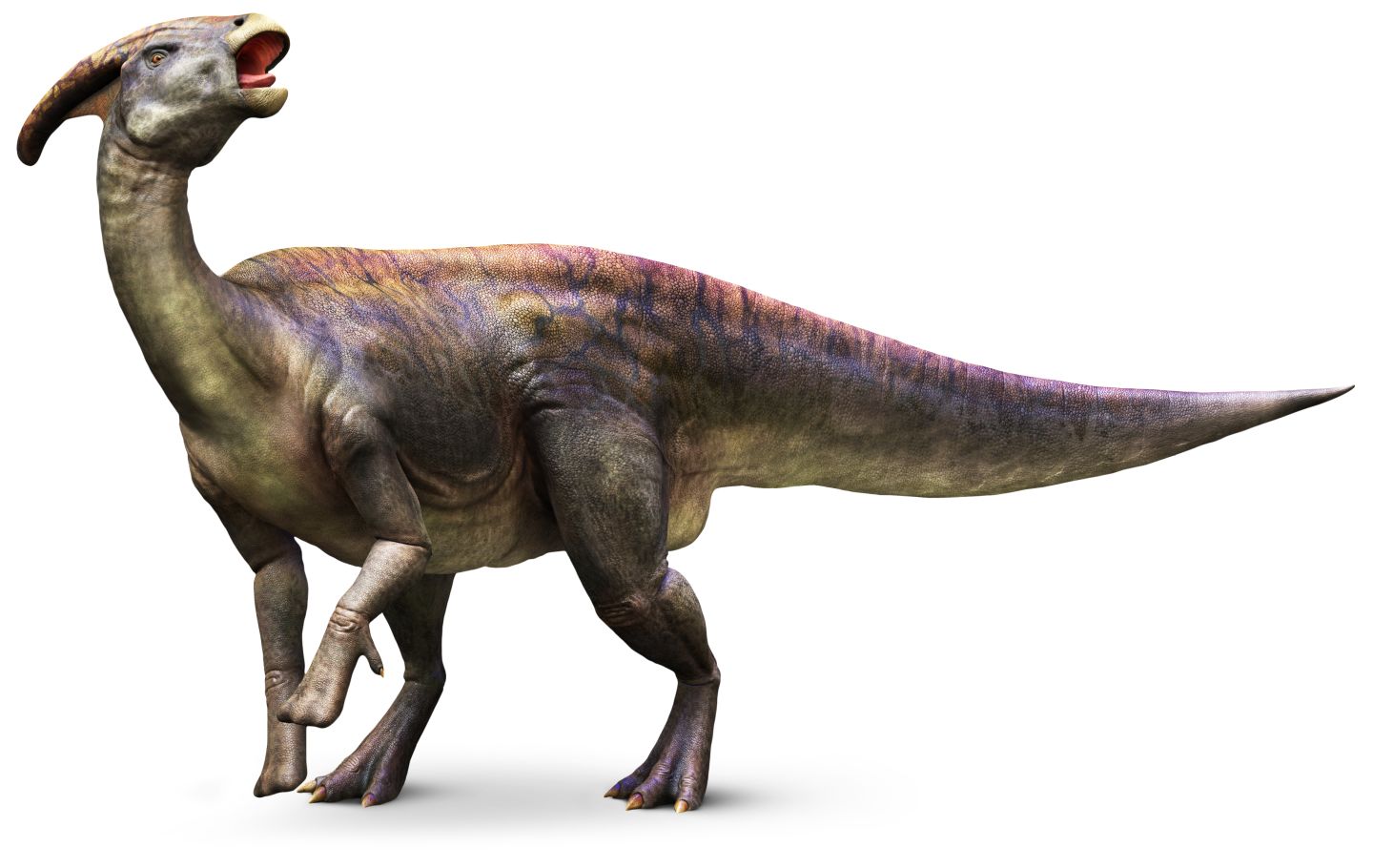 dinosaur with one long horn on head