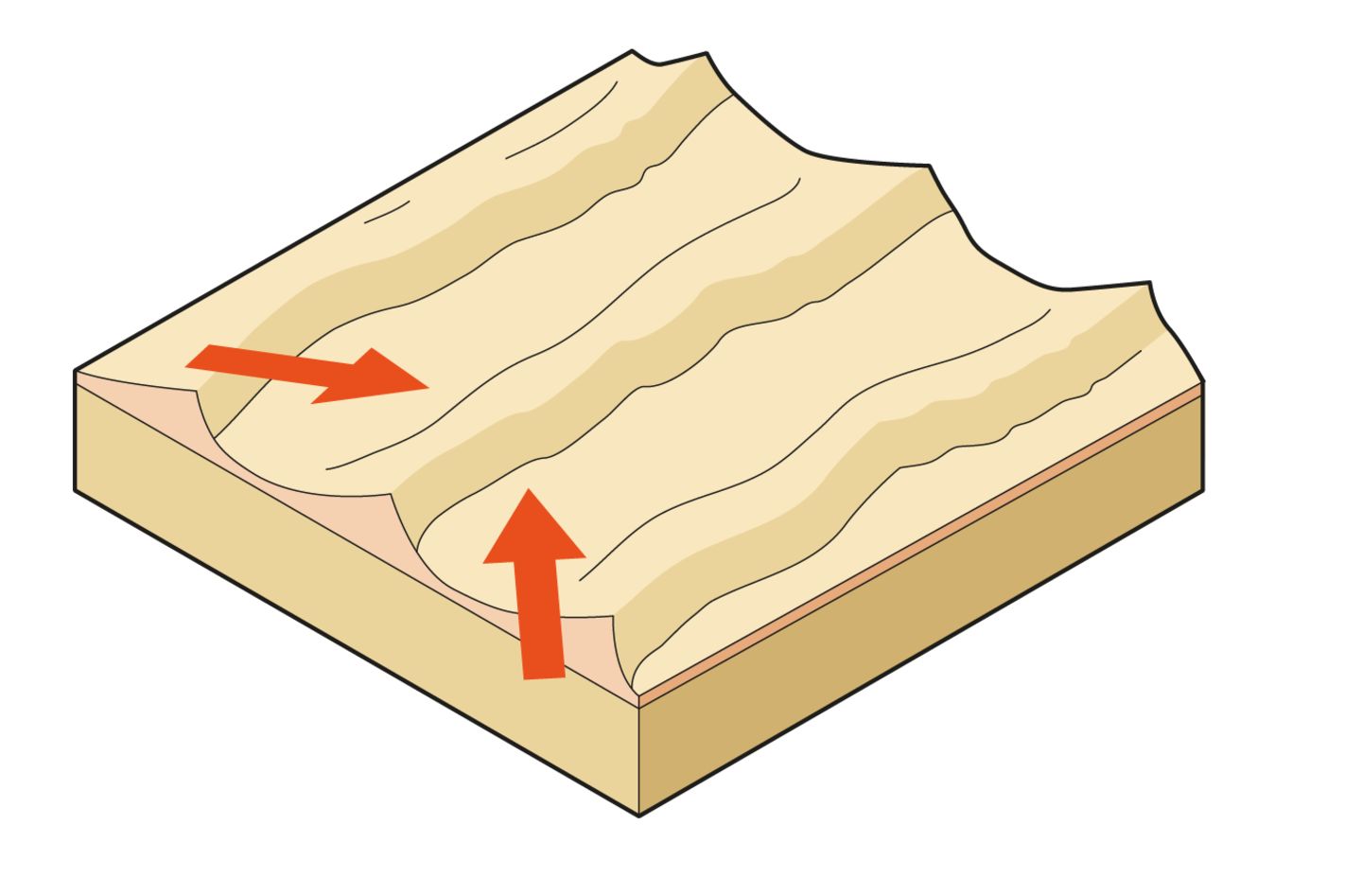 DK Find Out! Fun Facts for Kids on Animals, Earth, History and more!