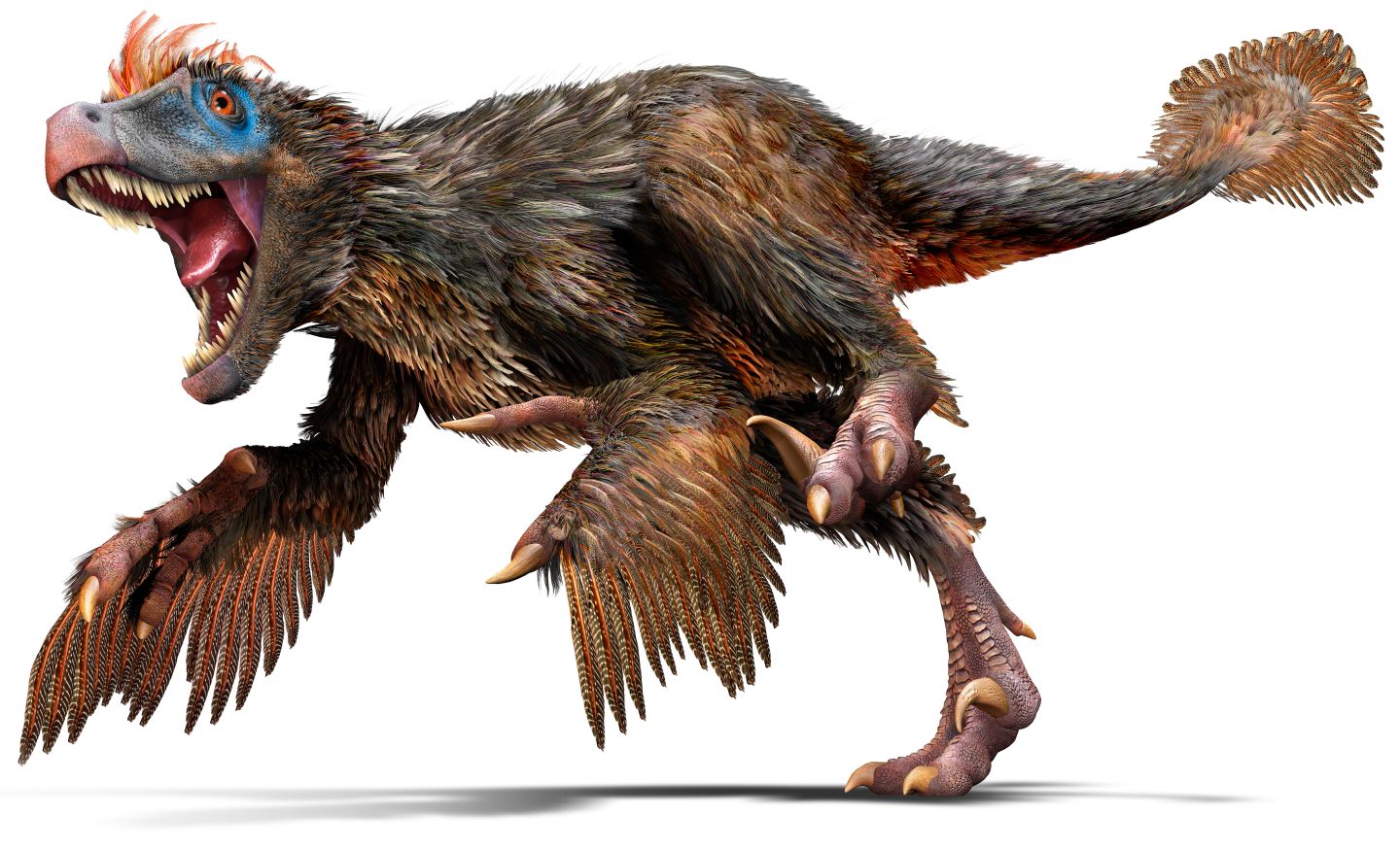 E.B.E.C²: RE - Bem vindos ao mundo da Acre Jurássica! Velociraptor_u4hjbq
