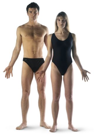 a comparison of primates and humans This section of the hybrid hypothesis discusses anatomical features that allow humans to walk upright. a comparison of primates and humans This section of the hybrid hypothesis discusses anatomical features that allow humans to walk upright.