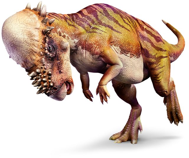 O imagine a Pachycephalosaurus. 