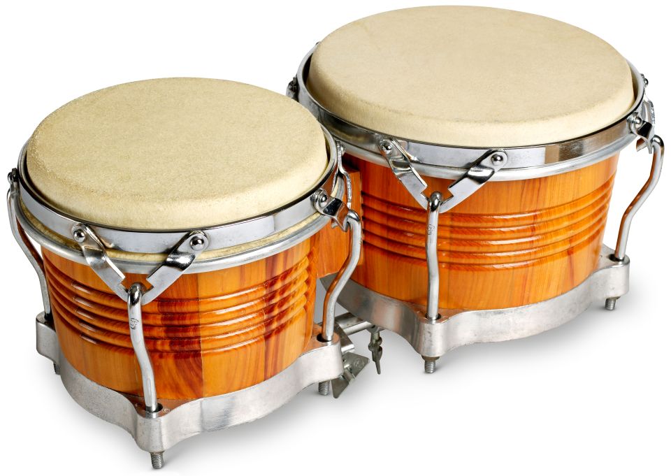 DK Find Out! Fun Facts for Kids on Animals, Earth, History and more!