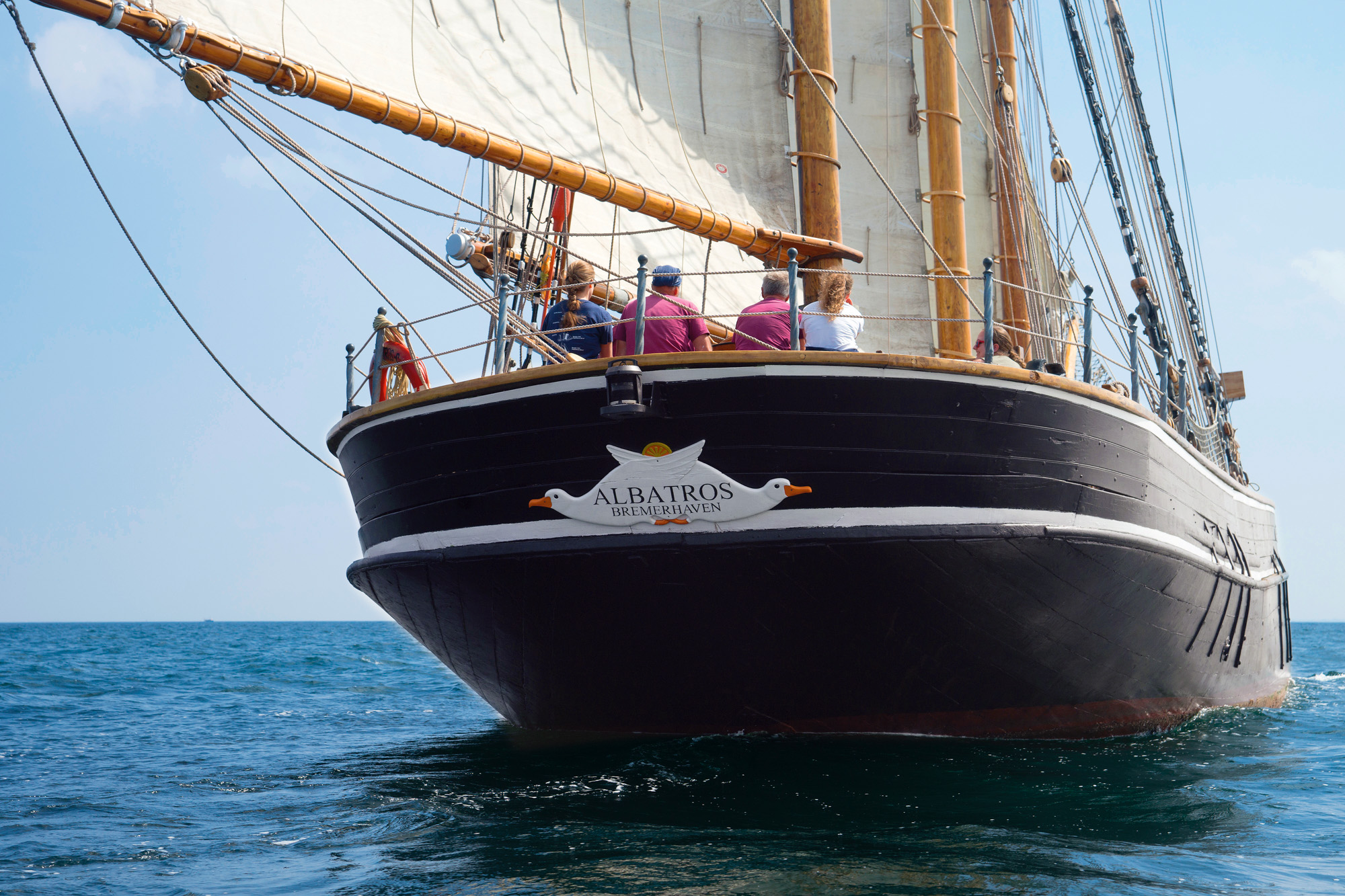 Albatros segelboot hotsell