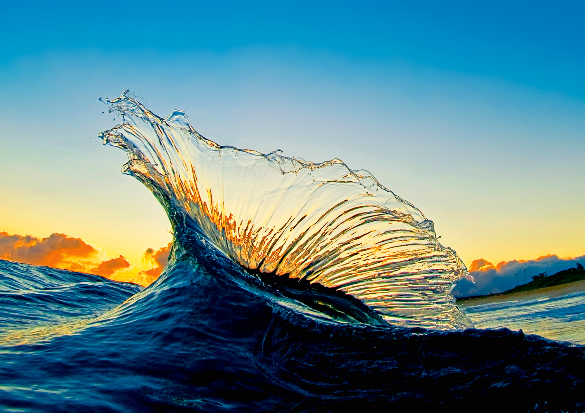 Passion: Clark Little and his incredible wave paintings | SURF