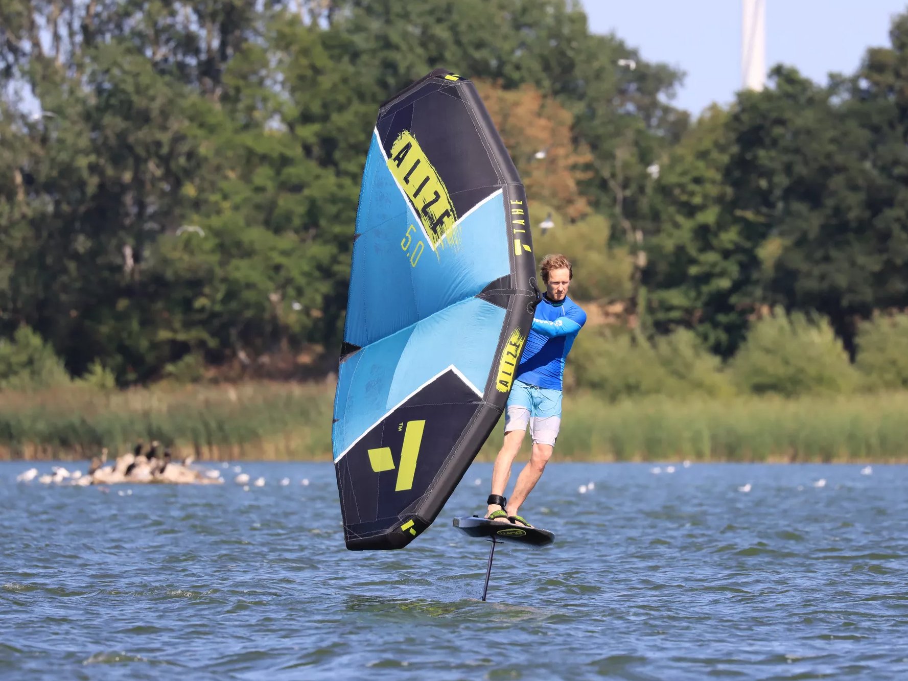 Tahe Alizé: The affordable all-round wing in a comparison test | SURF