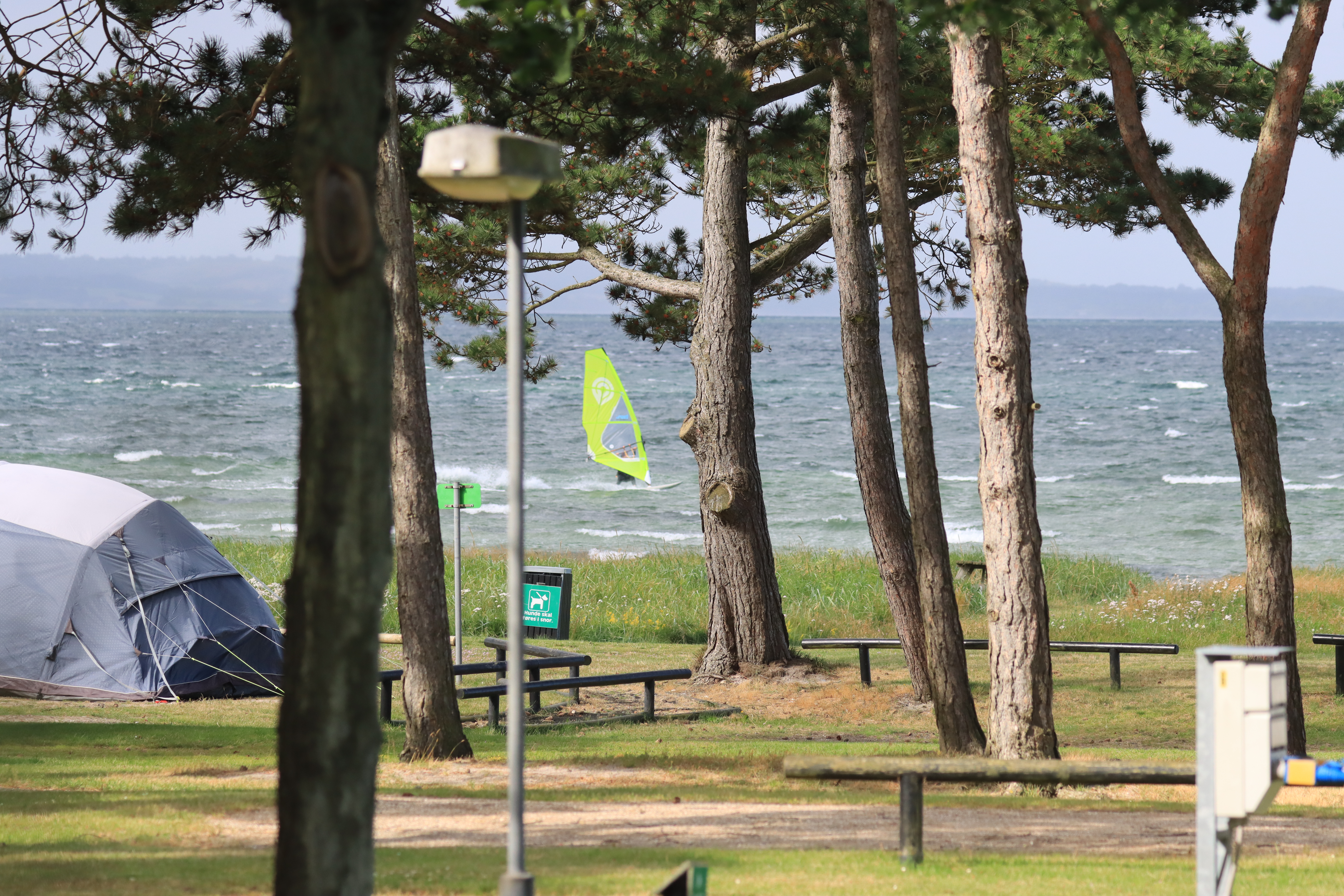 Camping-Tipps: Campingpltze zum Surfen - vom Bett aufs Brett in Dnemark |  SURF