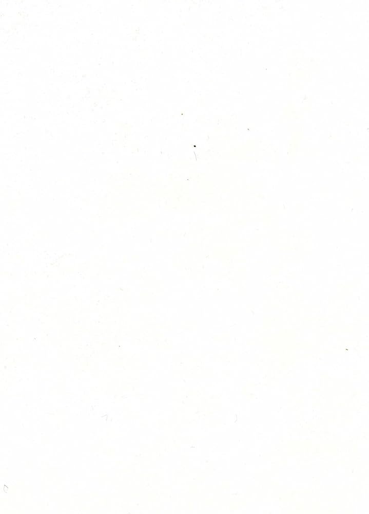 WHAT HAPPENED IN 1996 IN AMERICAN HISTORY TIMELINE visual data 8