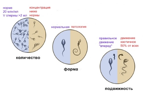 Сперма на лицо после секса рачком