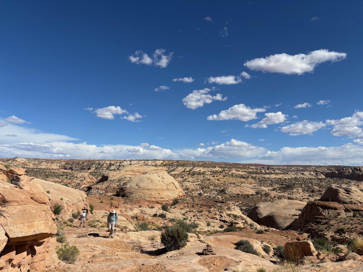 Ascent out of Horseshoe Canyon