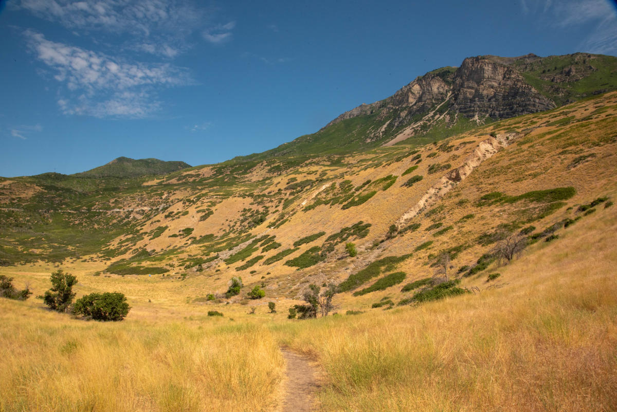 View of Mt Timpanogos from the Canyon Glen Loop Trail