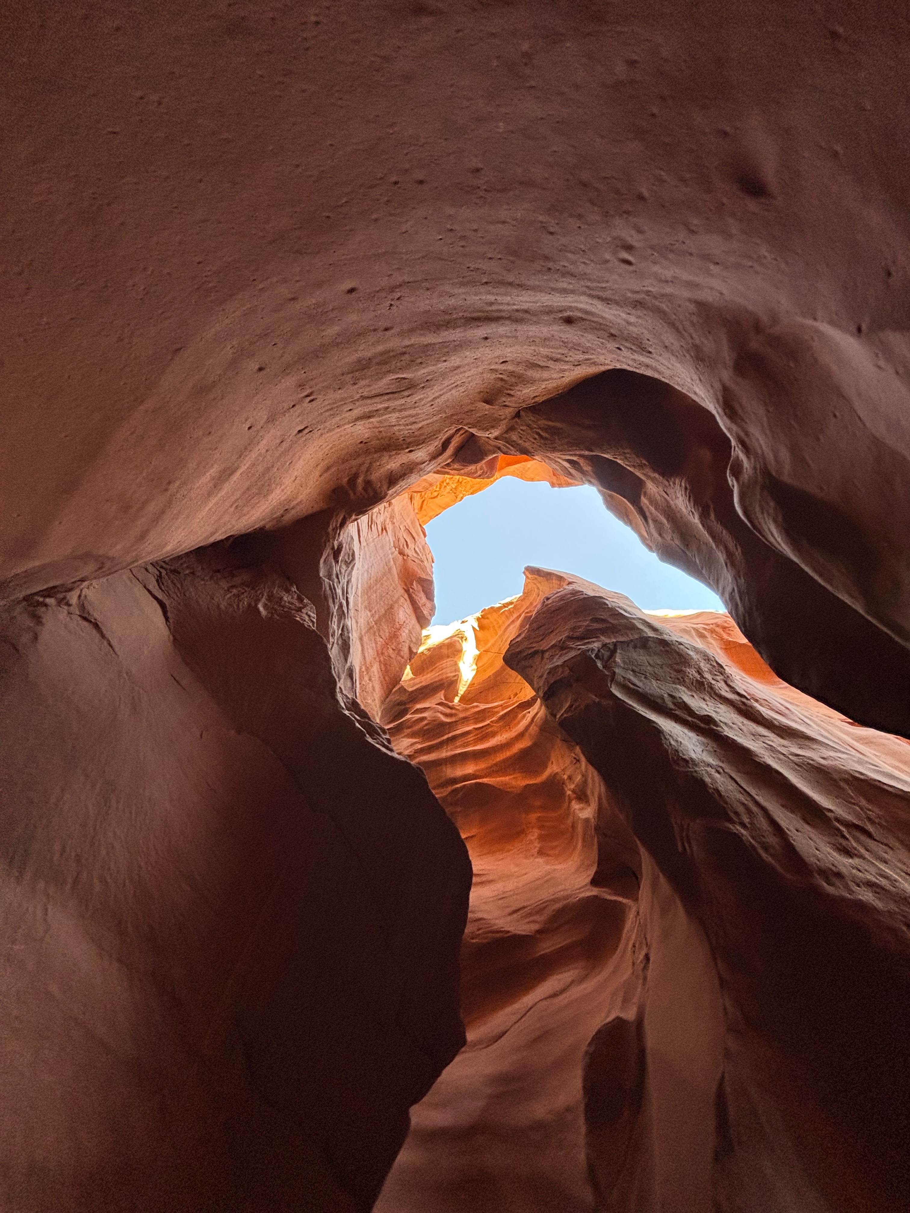 Looking up in Blue John Canyon Slot