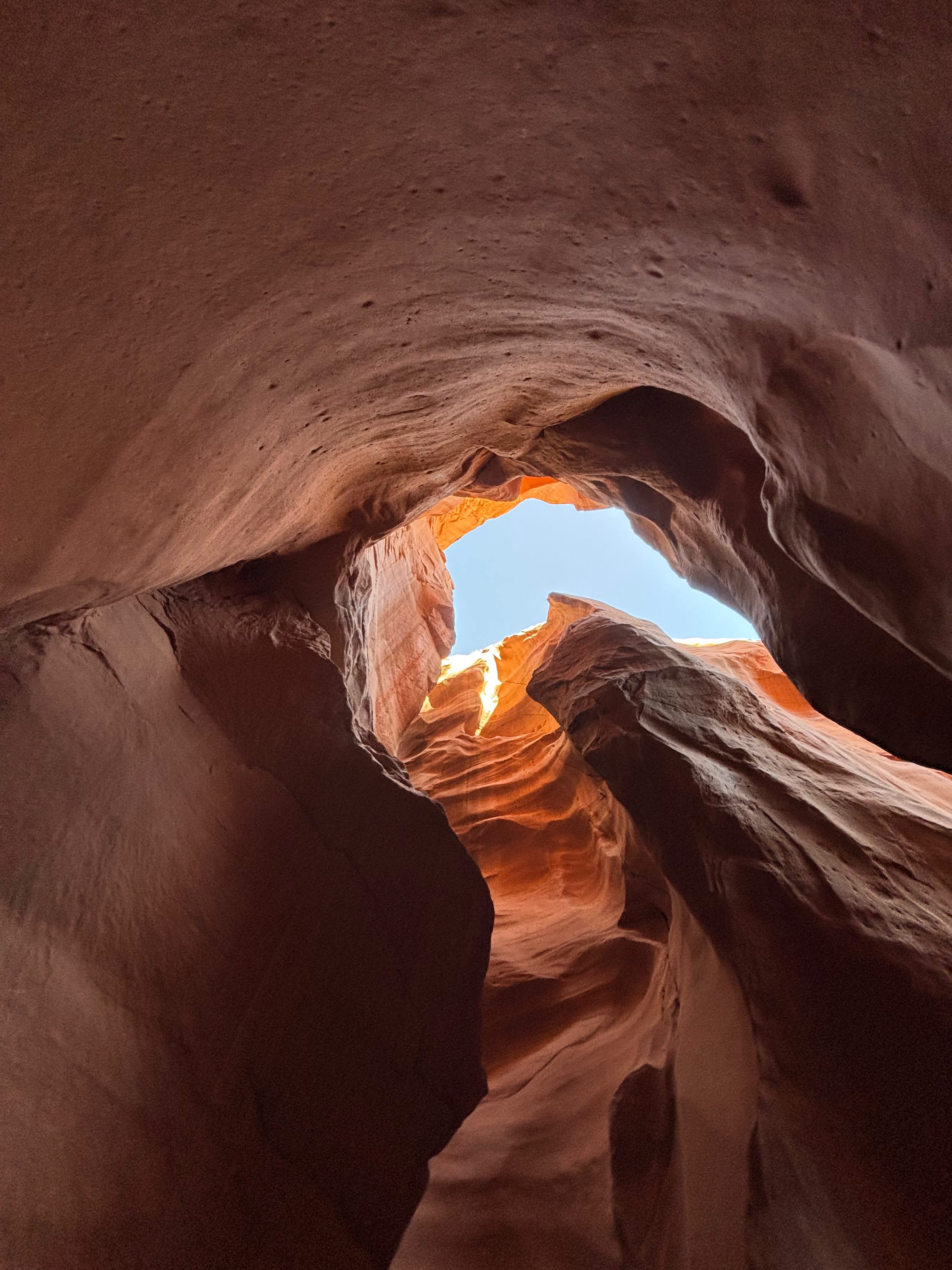 Looking up in Blue John Canyon Slot