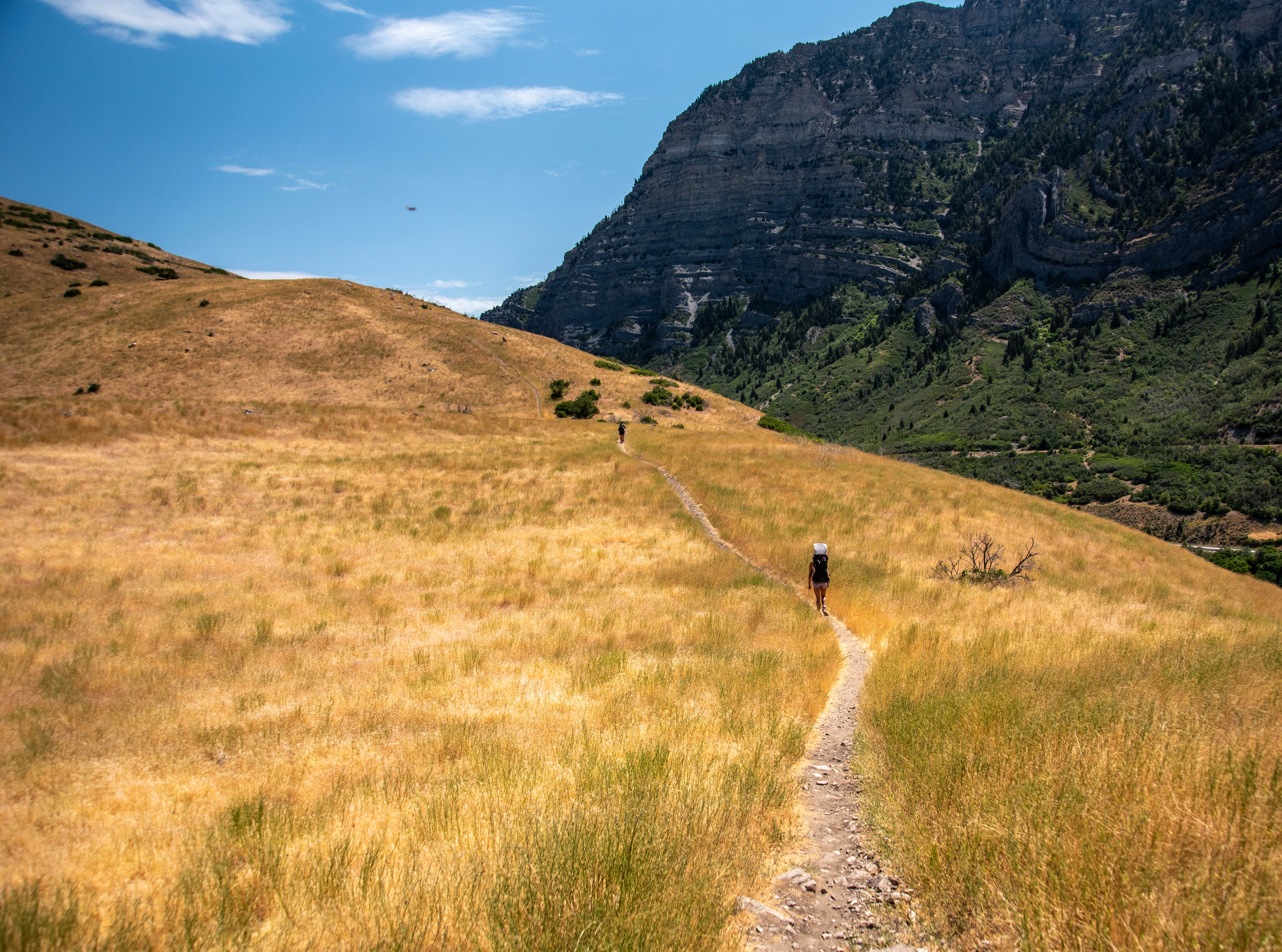Canyon Glen Loop