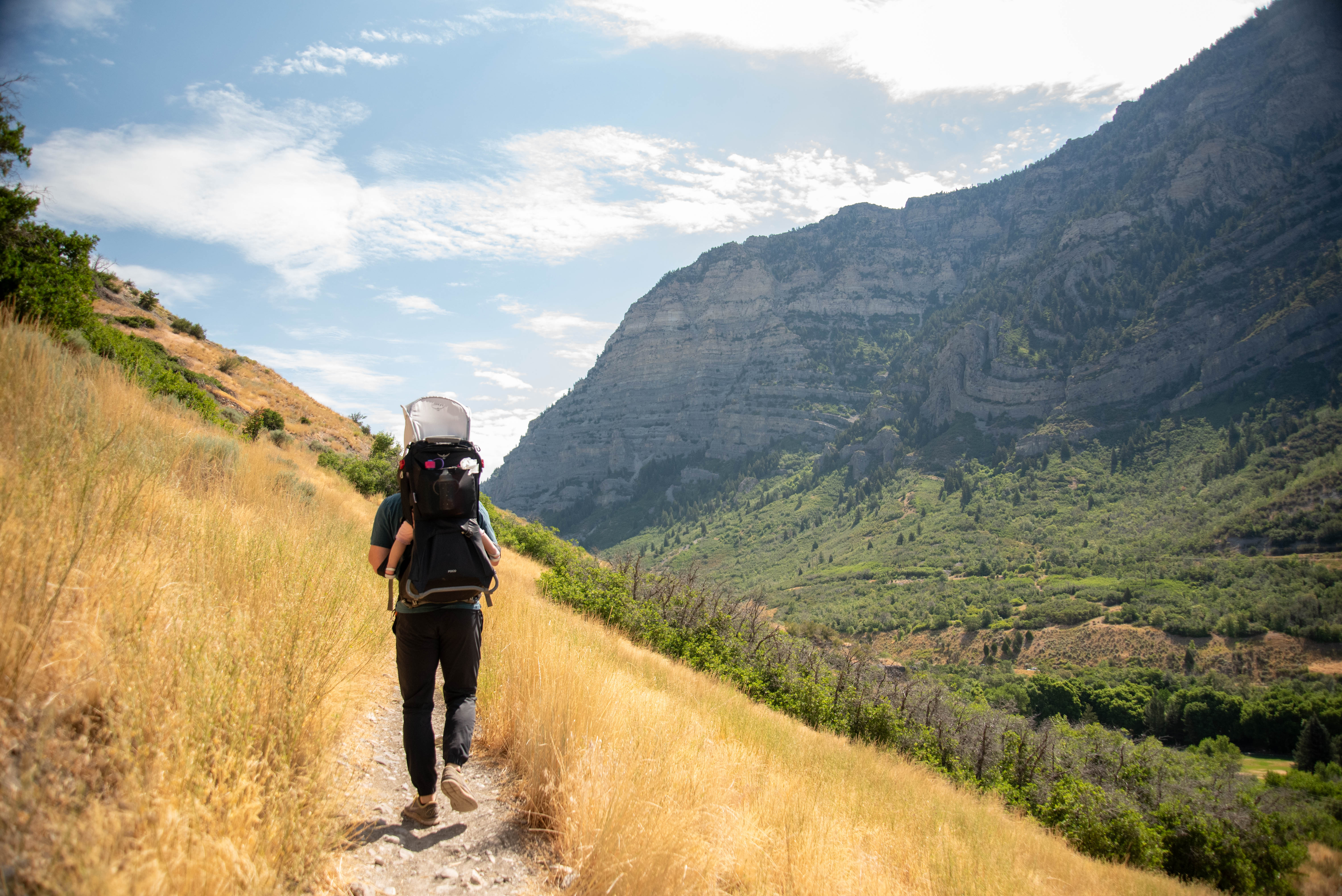 Ian on the Steep Section of the Canyon Glen Trail