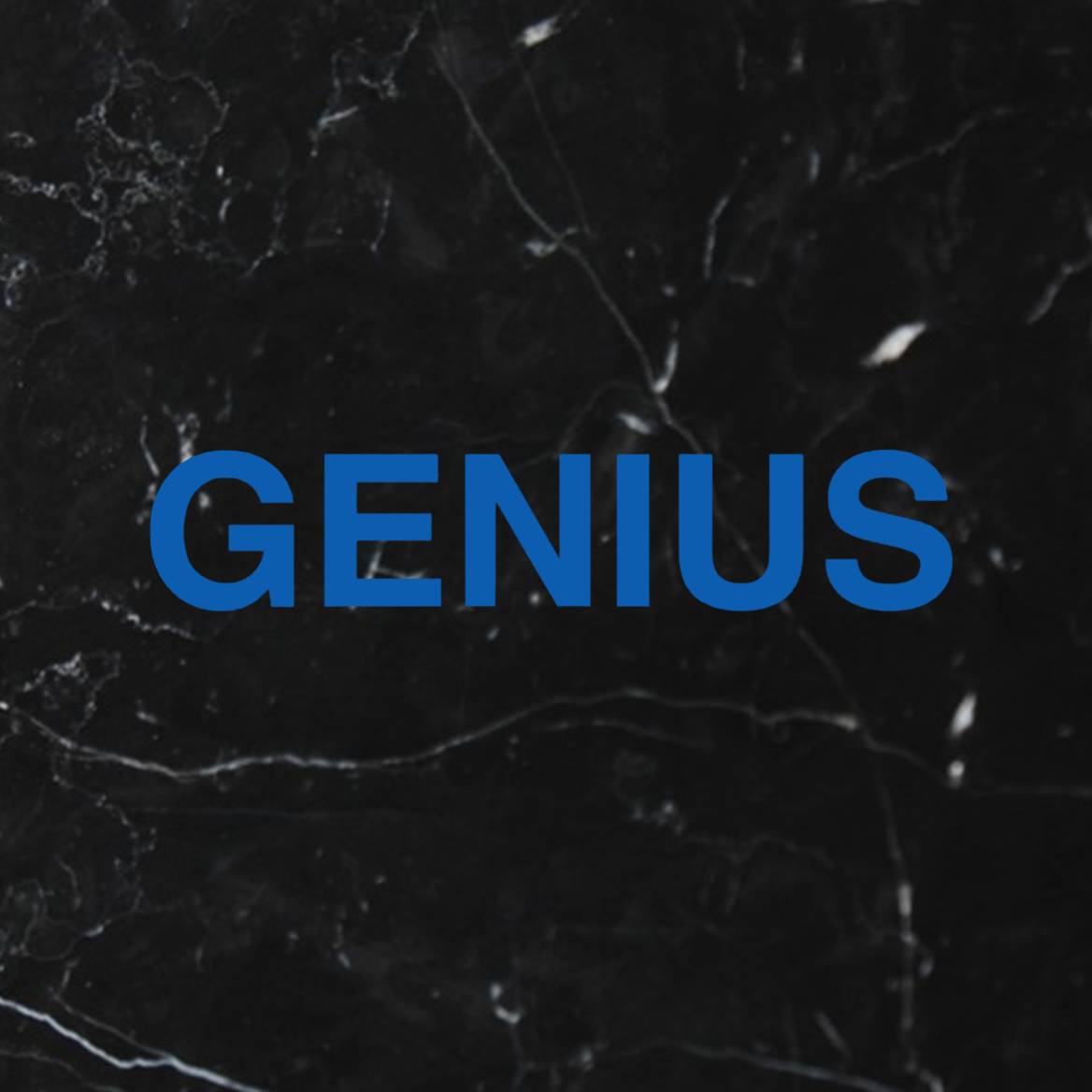 G E N I U S — Vision