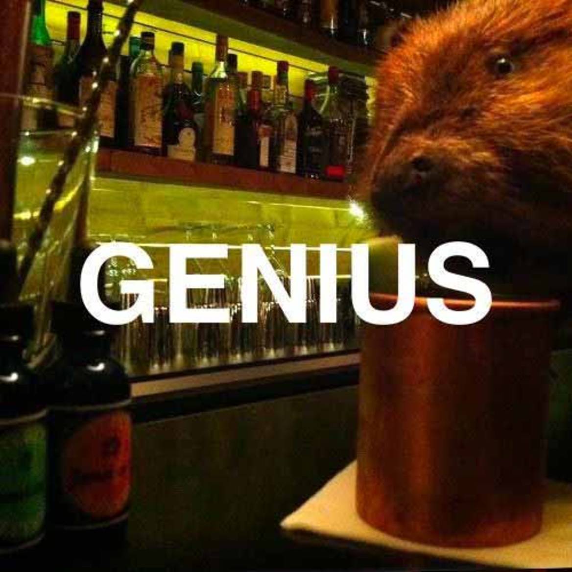 G E N I U S — Castor Club Residency Vol.2