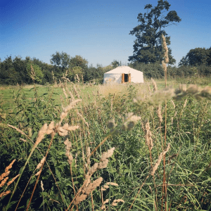 Somerset Yurts - Glamping Holidays small pic