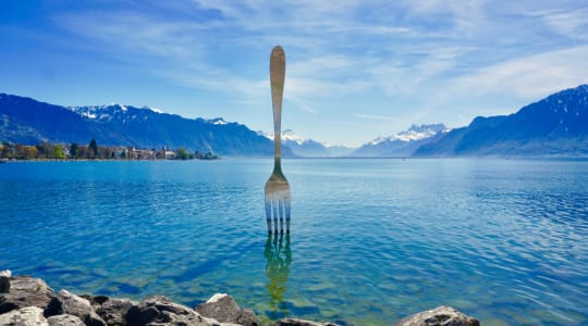 Photo of Fork of Vevey