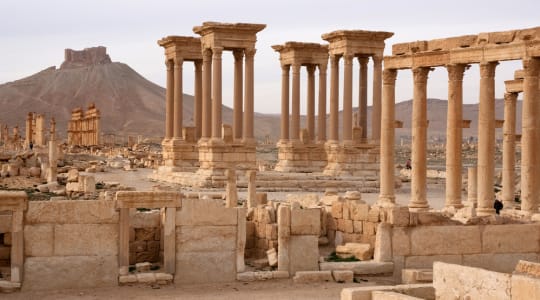 Photo of Palmyra