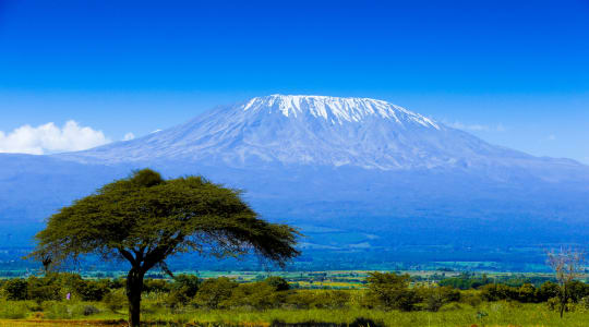 Photo of Kilimanjaro