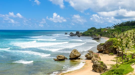 Photo of Bathsheba beach