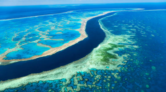 Photo of Great Barrier Reef