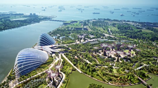Photo of Cloud Forest Singapore