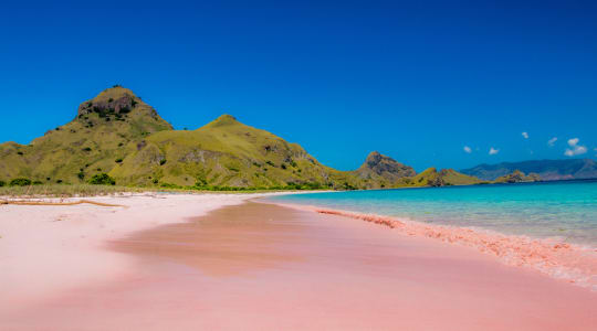 Photo of Pink beach