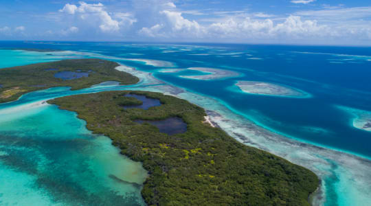 Photo of Los Roques Archipelago