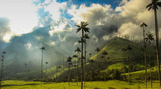 Photo of Cocora valley