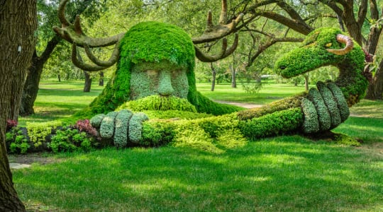 Photo of Montreal Botanical garden