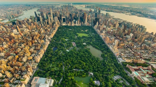 Photo of Central Park