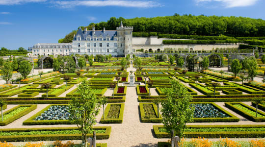 Photo of Chateau de Villandry