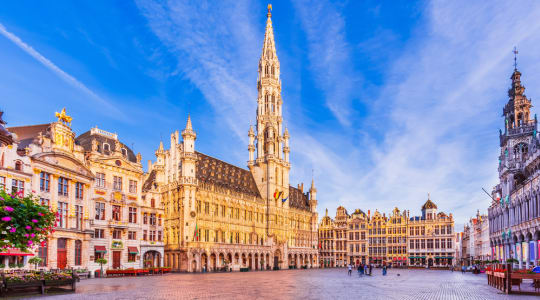 Photo of Town hall Brussels