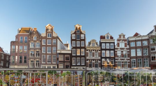 Photo of Bloemenmarkt Amsterdam