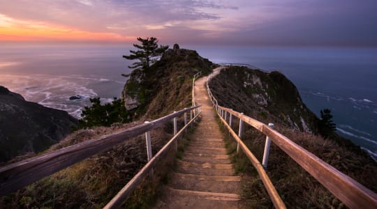 Photo of Muir beach