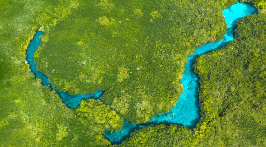 Photo of cenote Manatí (Casa cenote)