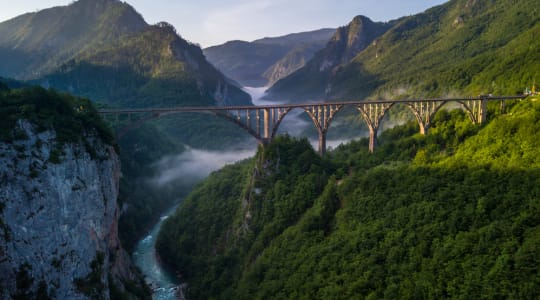 Photo of Tara bridge