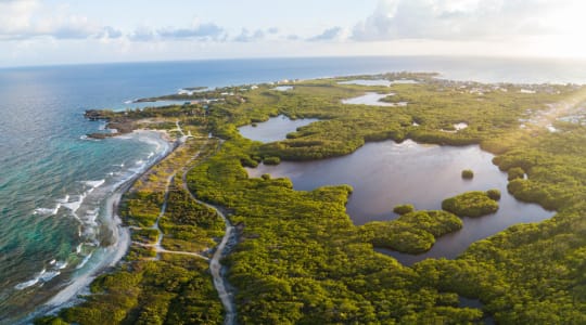 Photo of Utila island