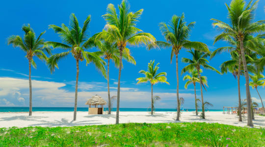 Photo of Cayo Coco island