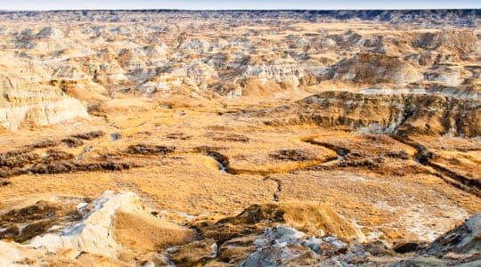 Photo of Dinosaur Provincial Park