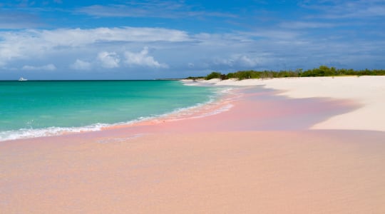 Photo of Barbuda island