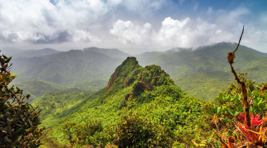 Photo of El Yunque National Forest
