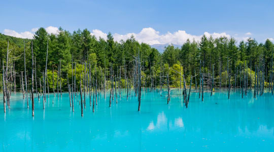 Photo of Blue Pond Biei