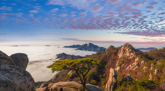 Photo of Bukhansan National Park