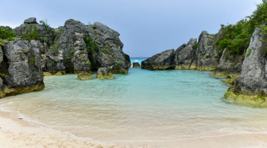 Photo of Jobson's Cove beach Bermuda